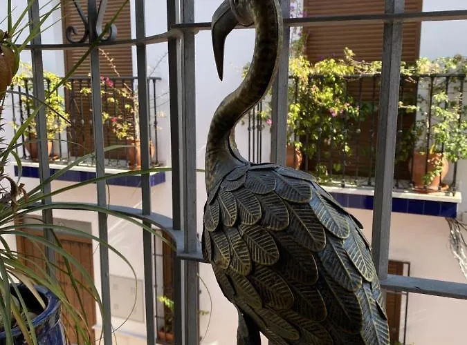 Apartment Club Costa